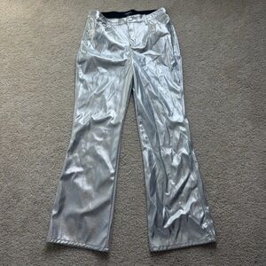 Wild Fable Metallic Silver Pants